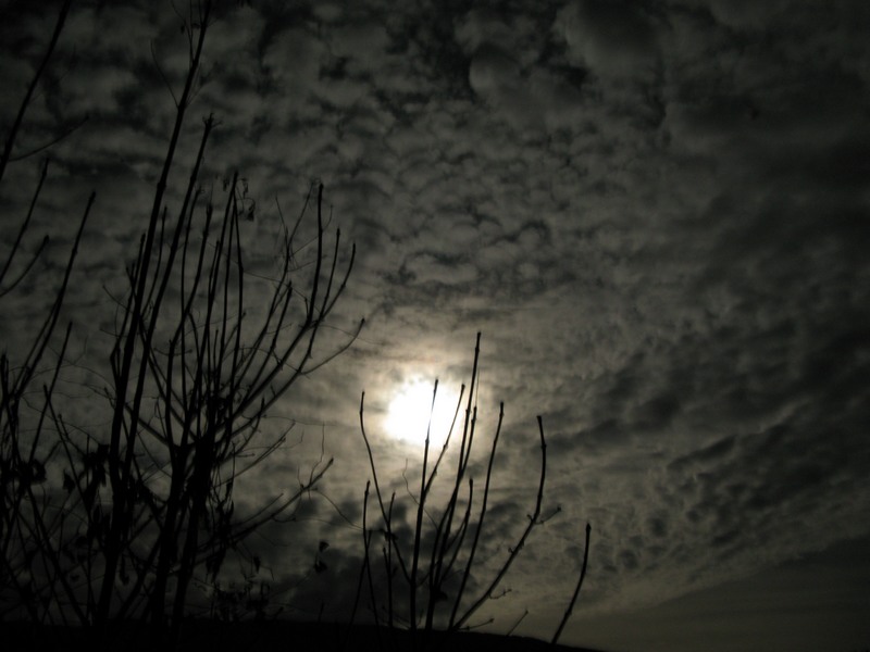 Nuit lune